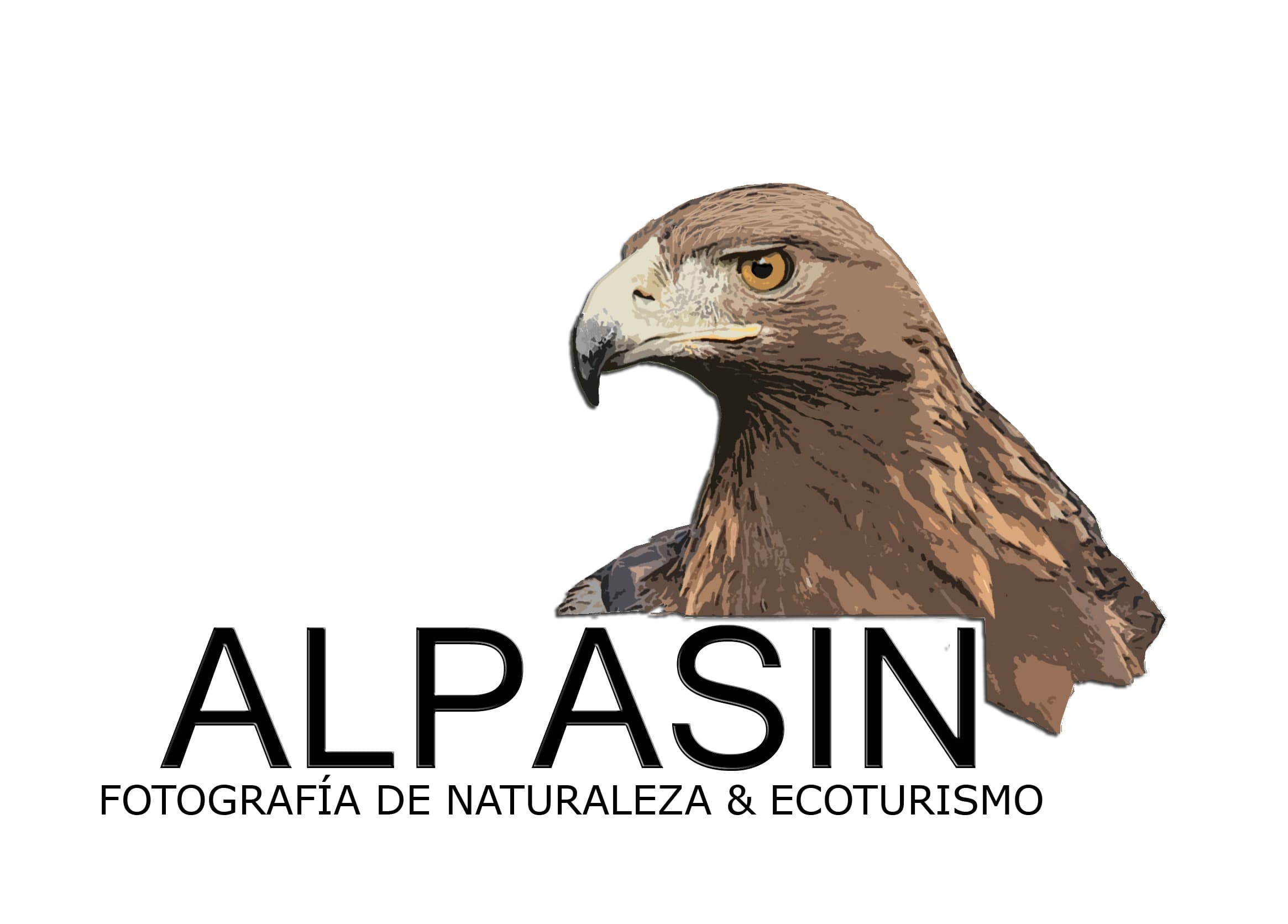 Se ha llegado a un acuerdo de colaboración con descuentos con la empresa Alpasin (actividad principal el alquiler de HIDES o escondites) para nuestros asociados de la FAF <br> <a href="https://alpasin.com/" target="_blank">ARCHIVO</a><br> <br> <a href="https://www.federacionandaluzafotografia.com/sites/default/files/acuerdo_colaboracion_2018.pdf" target="_blank">ENLACE</a><br>